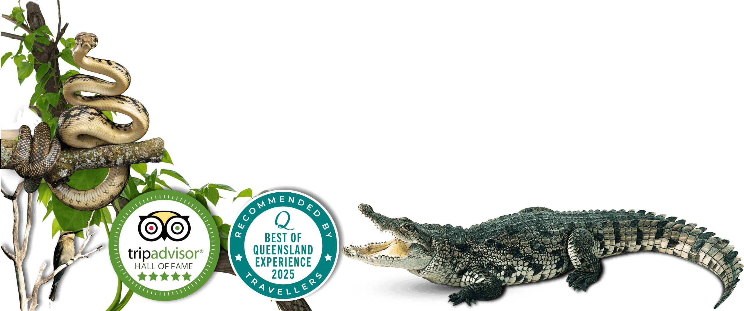 daintree river tours